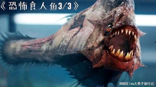 食人鱼3d 在线观看,食人鱼3D在线惊悚之旅